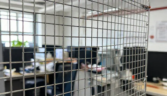 不锈钢丝网性能限制与适用条件分析