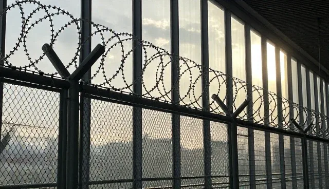 来图定制与来料加工：包装配送的性能对比及适用条件分析
